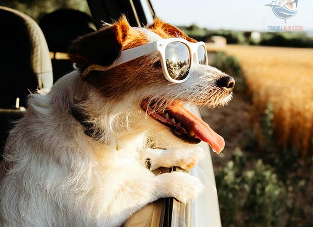 Exploring the Wonders of Global Travel